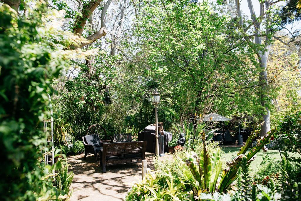 Possum Creek Lodge Gooseberry Hill Экстерьер фото